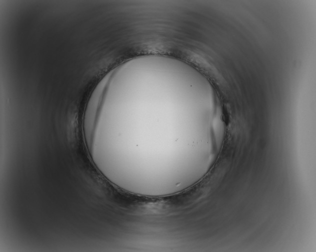 X0000089400306200706291412