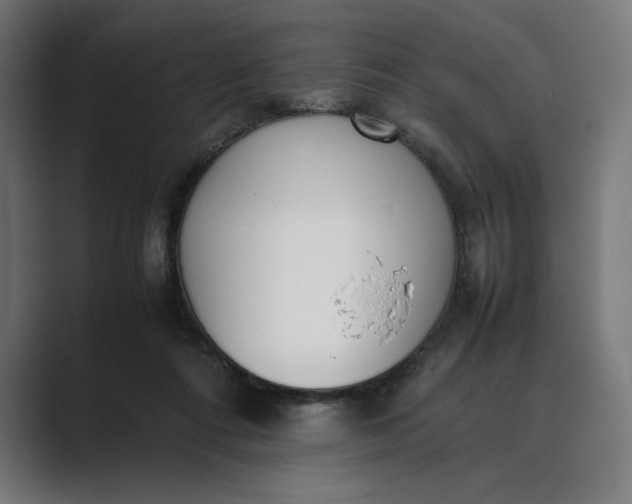 X0000089400312200706291412