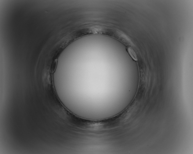 X0000089400313200706291412