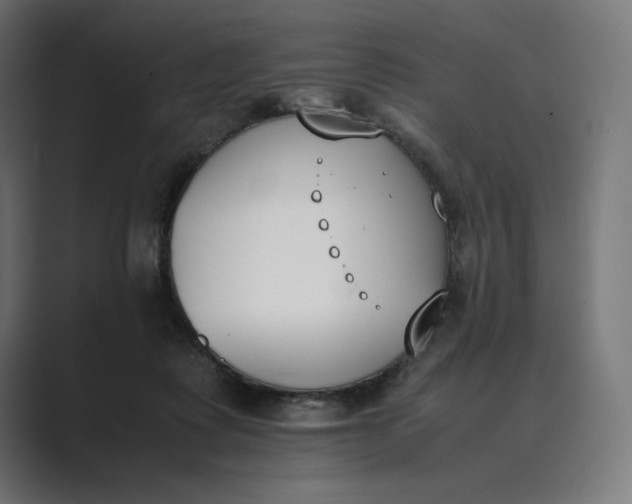 X0000089400315200706291412