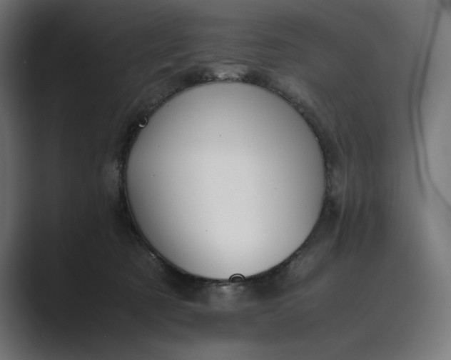 X0000089400321200706291412