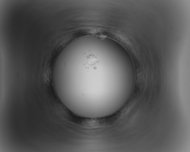 X0000089400325200706291412