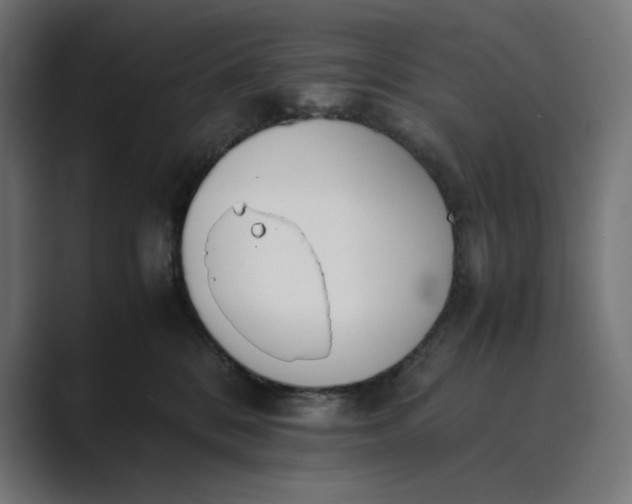 X0000089400328200706291412