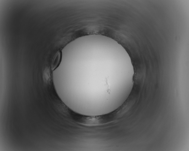 X0000089400335200706291411