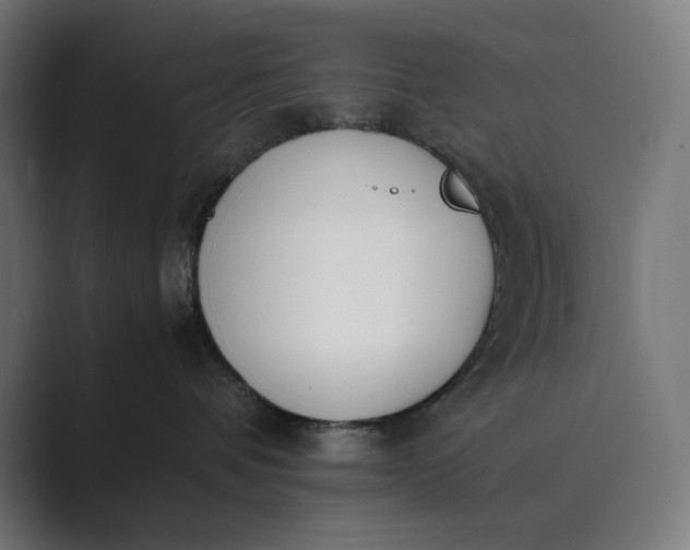 X0000089400336200706291411