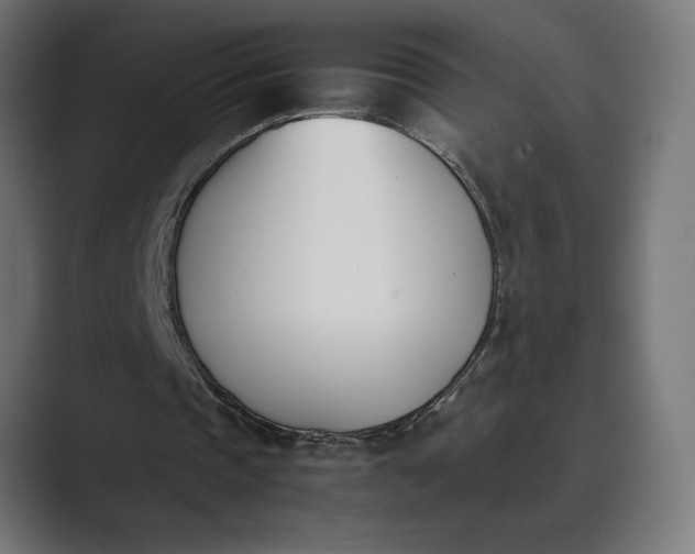 X0000089400337200706291411