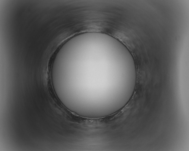 X0000089400338200706291411