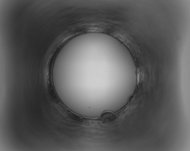 X0000089400339200706291411