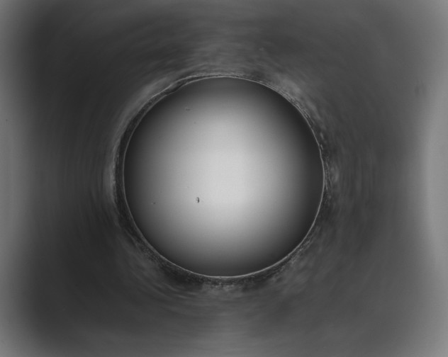 X0000089400340200706291411