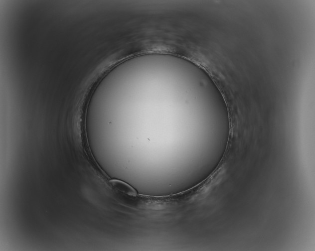 X0000089400341200706291411