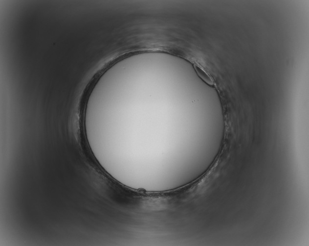 X0000089400342200706291411