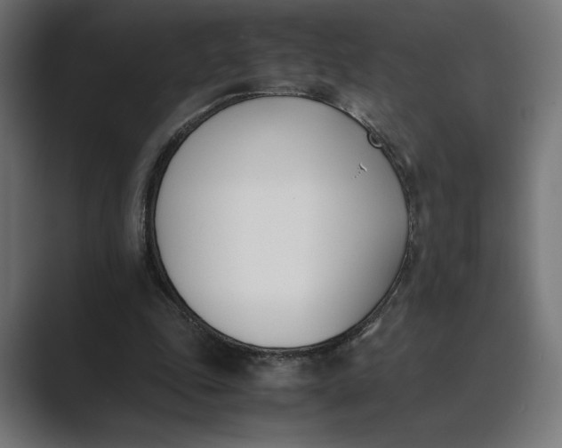 X0000089400343200706291411