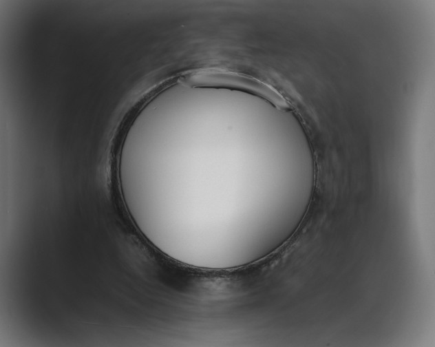 X0000089400344200706291411