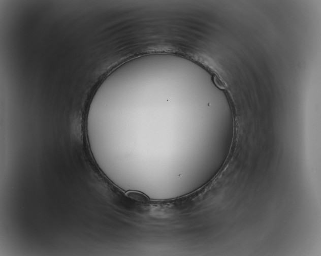 X0000089400345200706291411