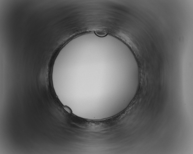 X0000089400346200706291411