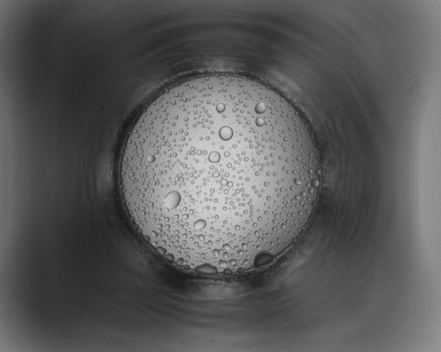 X0000089400347200706291411