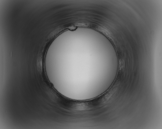 X0000089400349200706291411