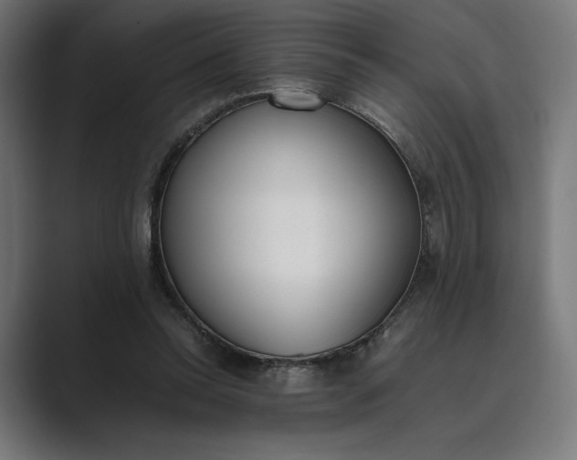 X0000089400350200706291411