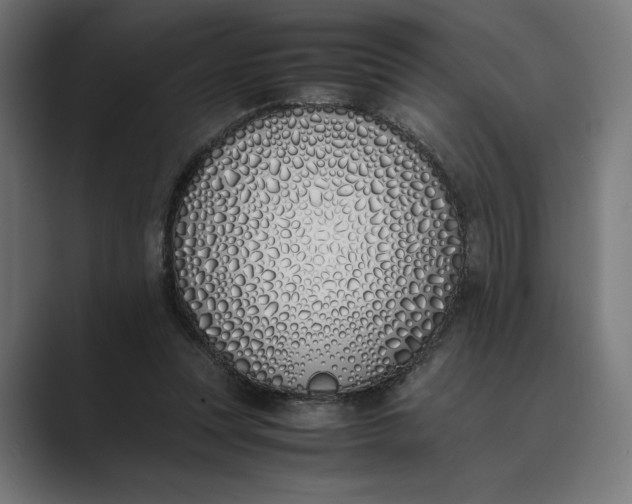 X0000089400351200706291411