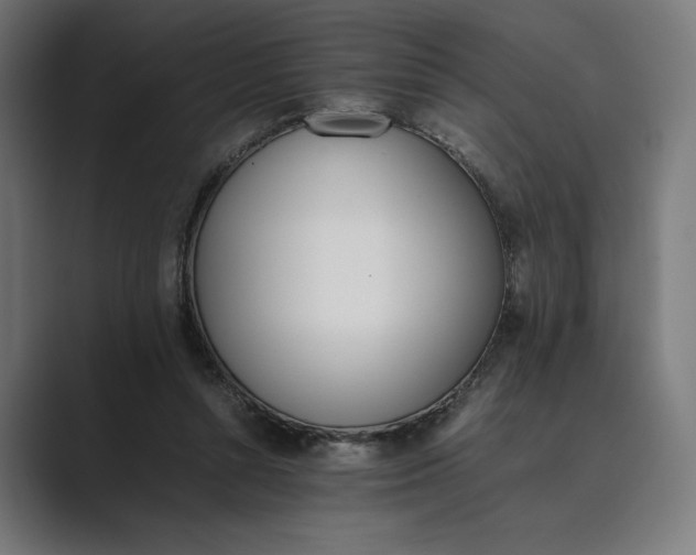 X0000089400352200706291411