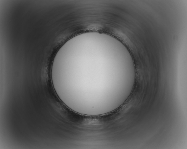 X0000089400354200706291411