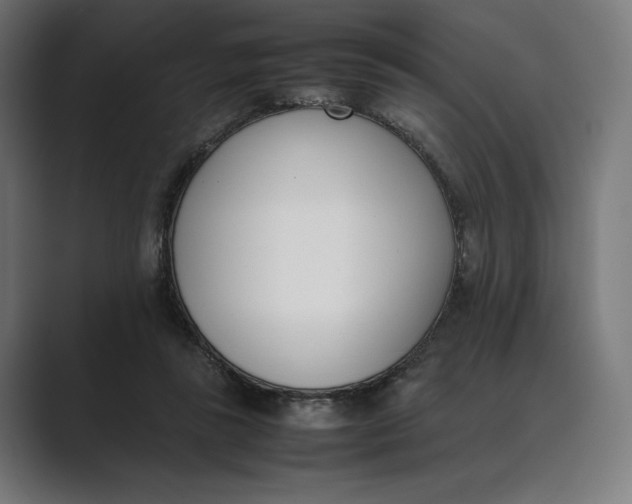 X0000089400355200706291411