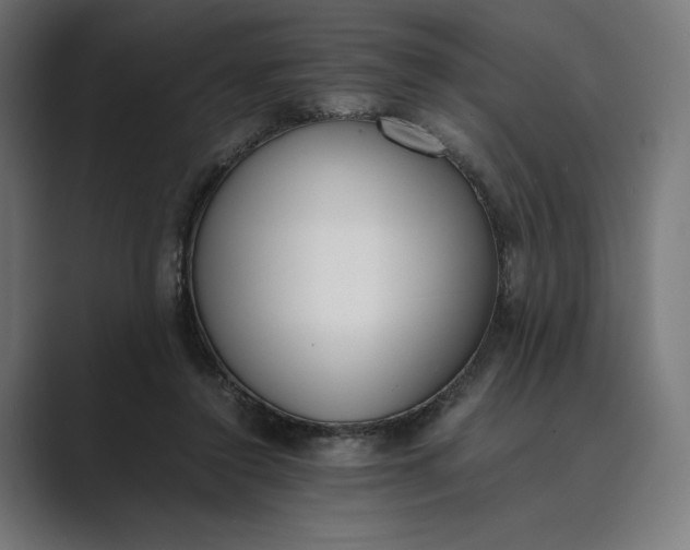 X0000089400356200706291411