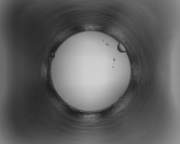 X0000089400357200706291411