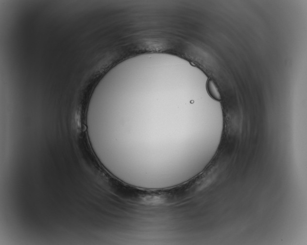 X0000089400358200706291411