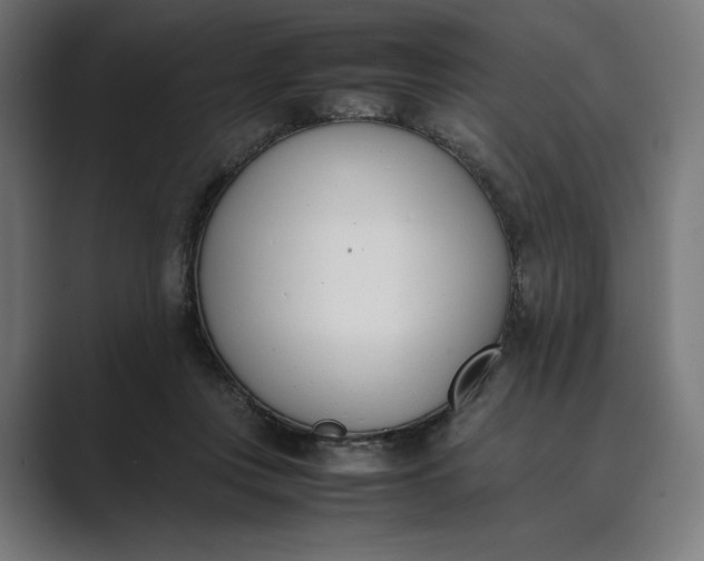 X0000089400359200706291411