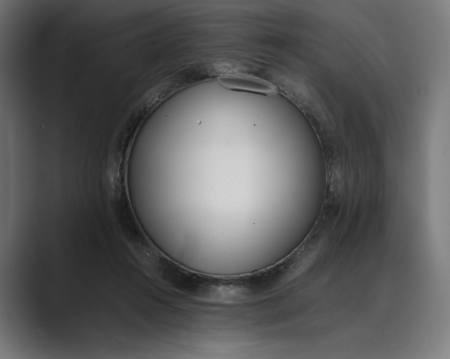 X0000089400360200706291411