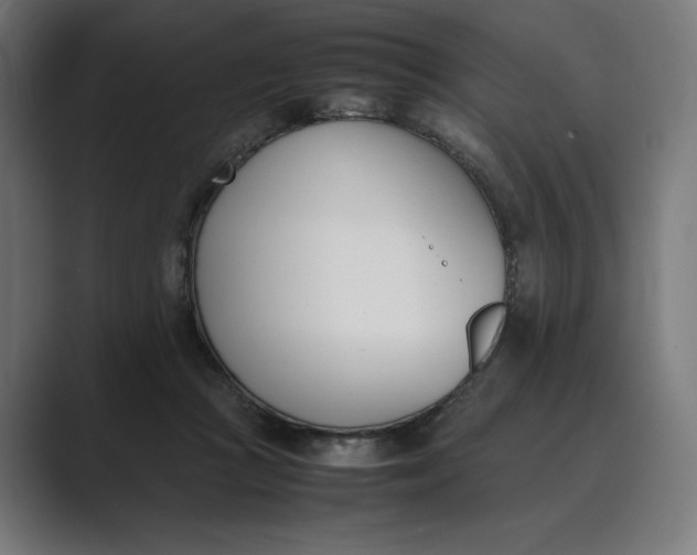 X0000089400361200706291411