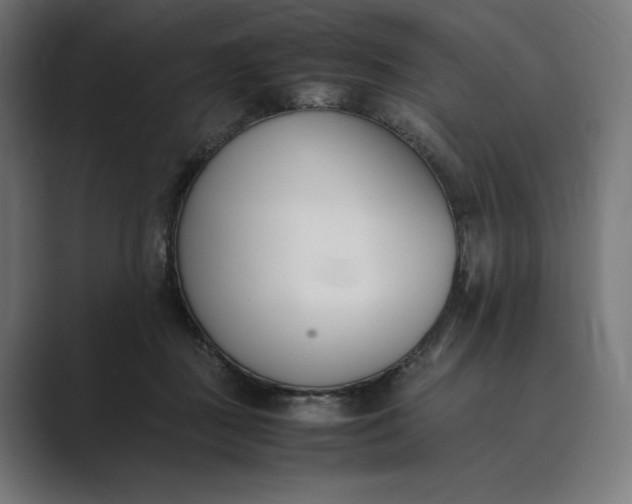 X0000089400363200706291411