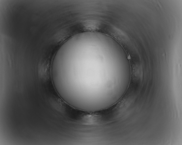 X0000089400364200706291411