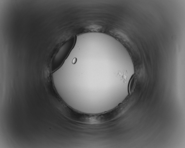 X0000089400365200706291411