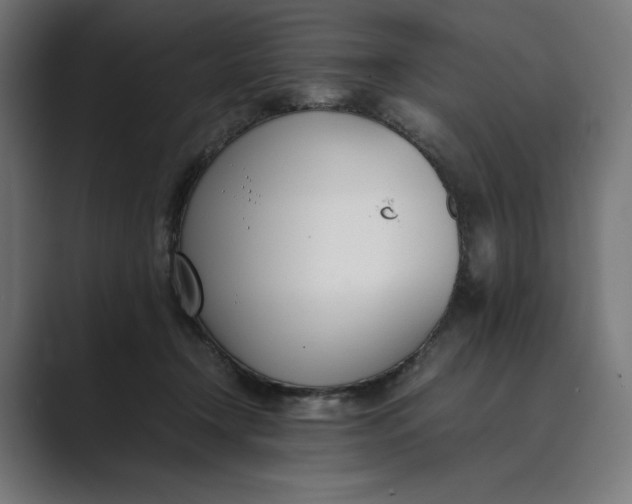 X0000089400366200706291411