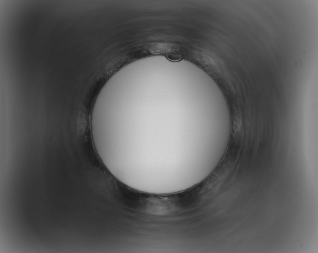 X0000089400367200706291411