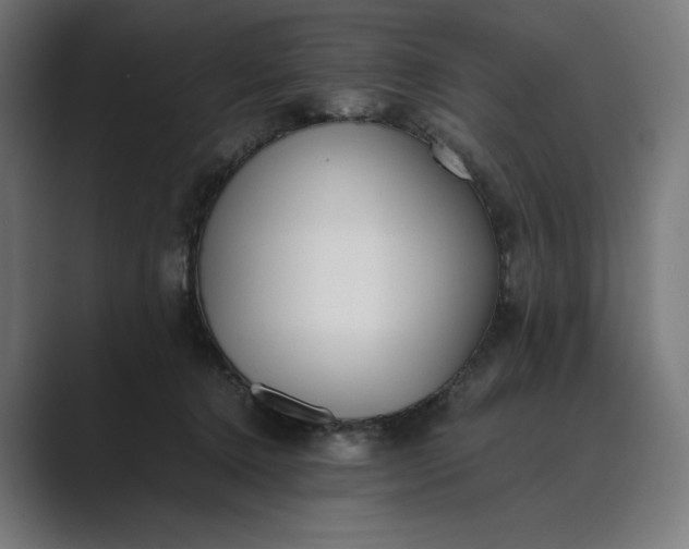 X0000089400368200706291411