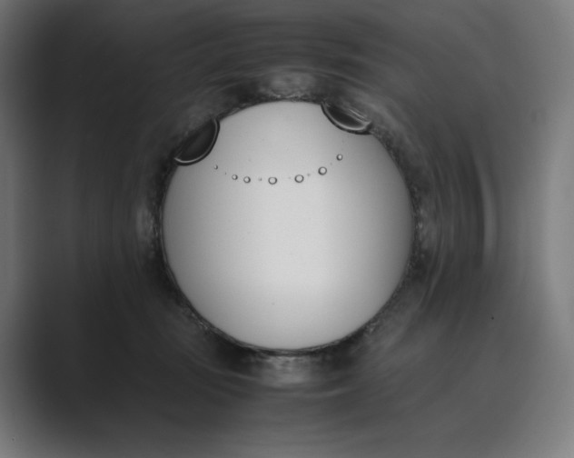 X0000089400371200706291411