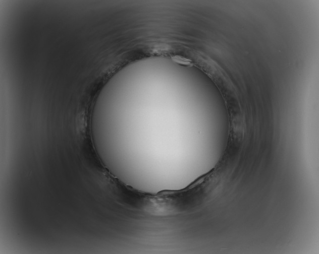 X0000089400372200706291411