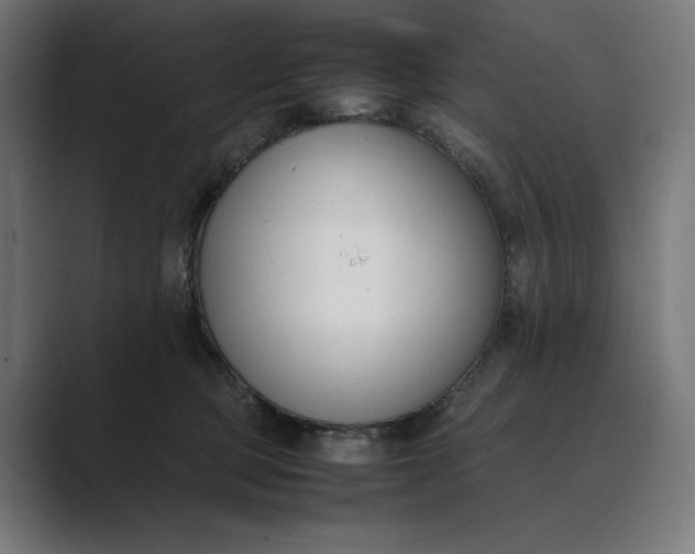 X0000089400373200706291411