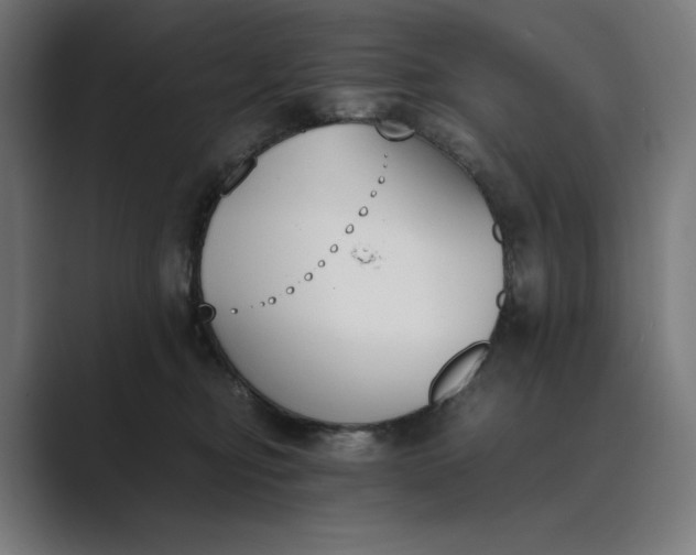 X0000089400374200706291411