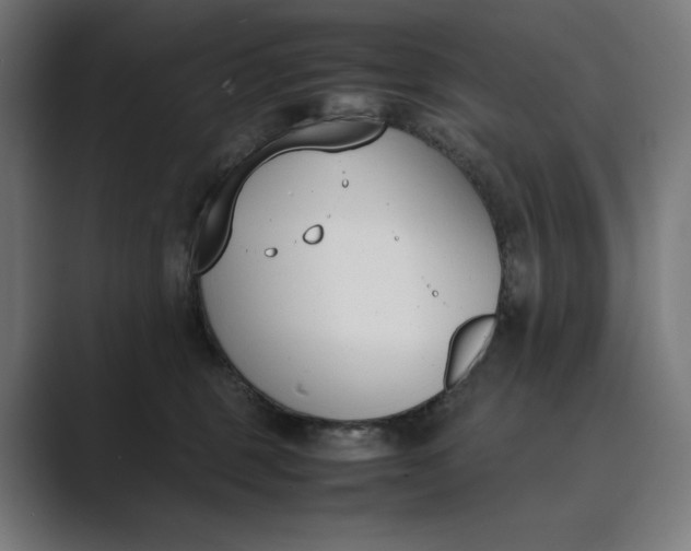 X0000089400375200706291411