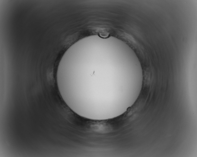 X0000089400377200706291411