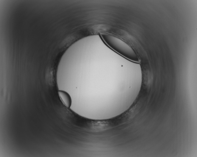 X0000089400378200706291411