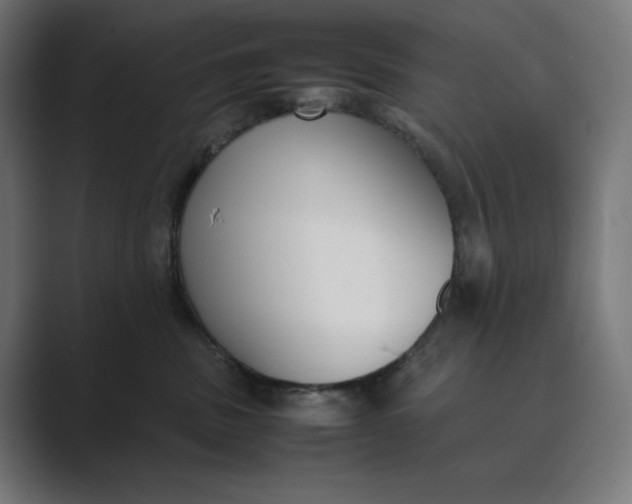 X0000089400379200706291411