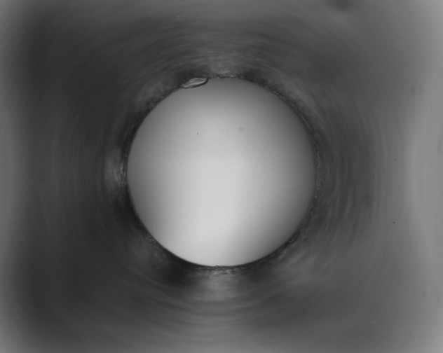 X0000089400384200706291411