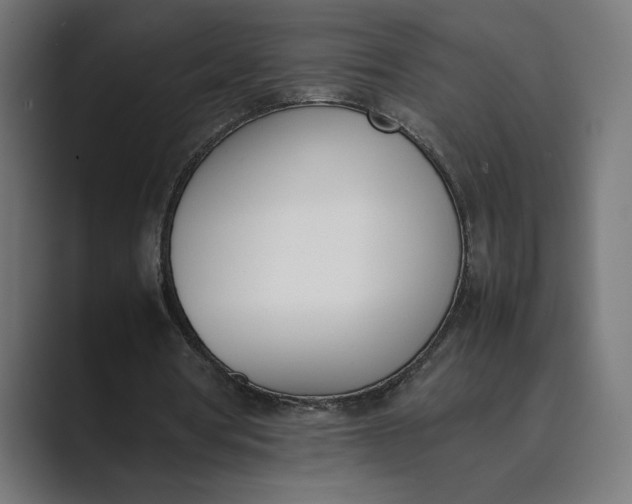 X0000089400386200706291411