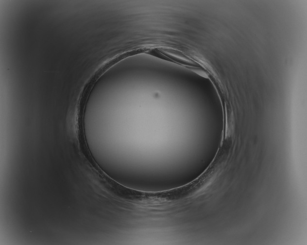 X0000089400387200706291411