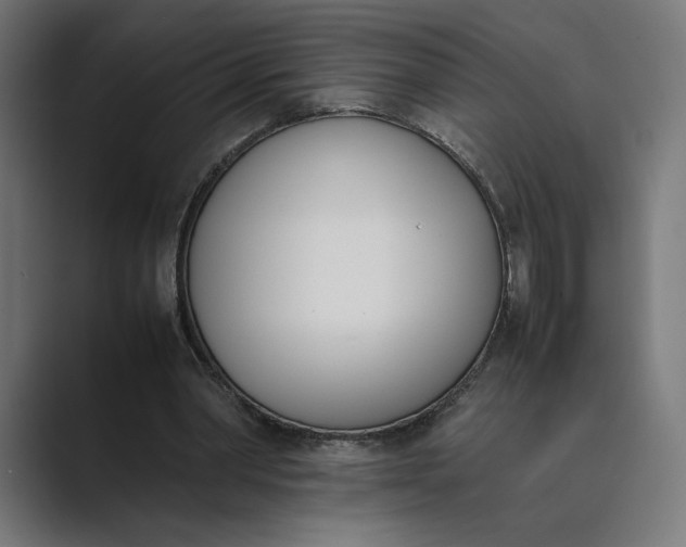 X0000089400390200706291411